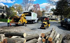 Best Tree Mulching  in Oakdale, PA